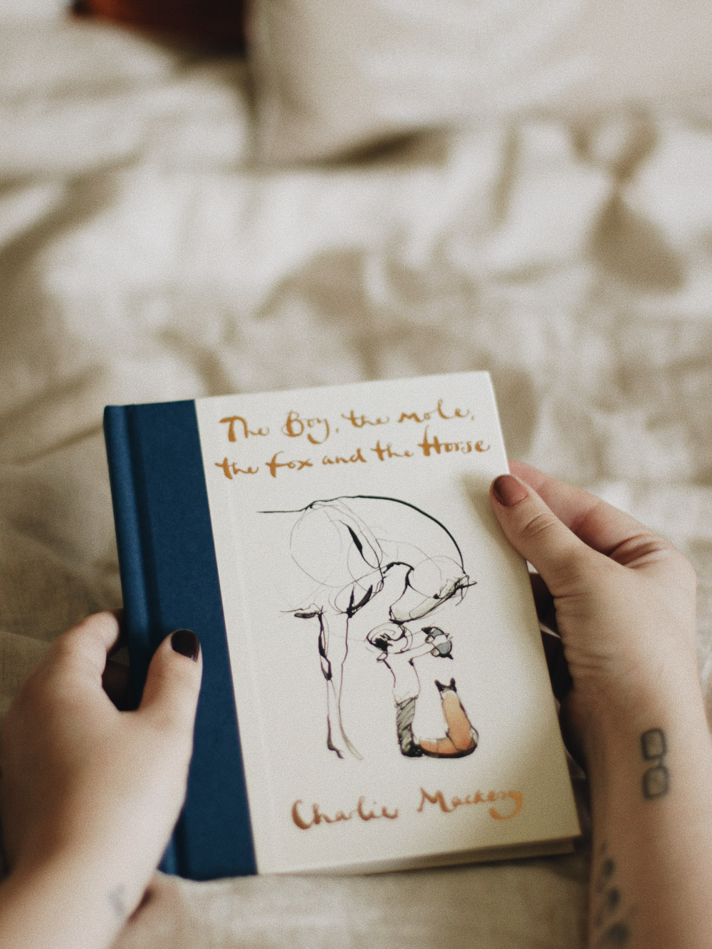 The boy, the mole, the fox & the horse (Charlie Mackesy)