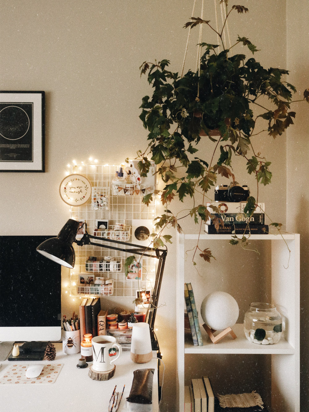 the bookshelf around the corner