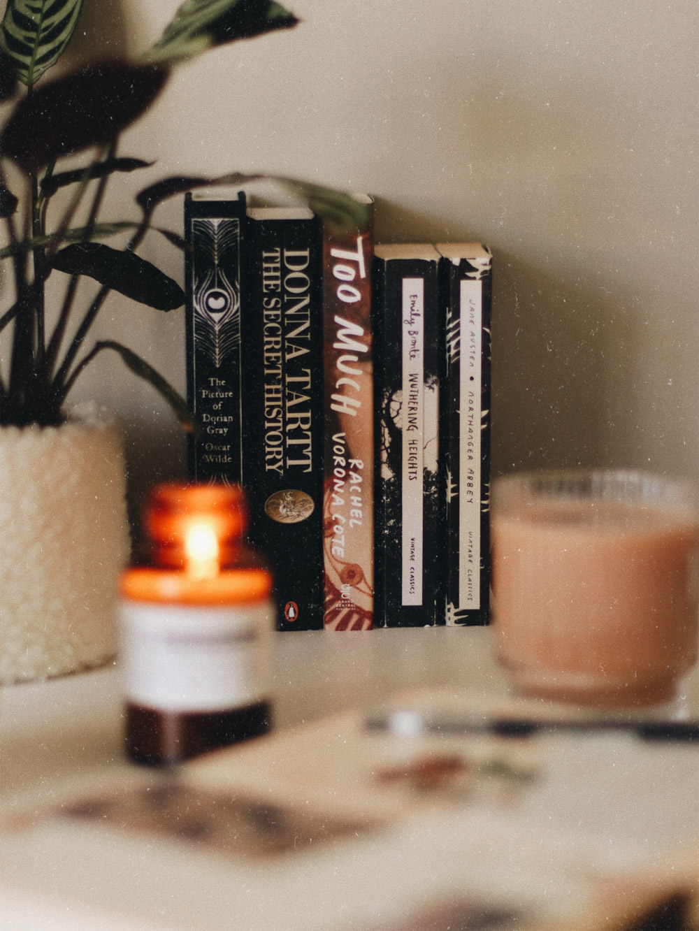 BOOKS & PLANT
