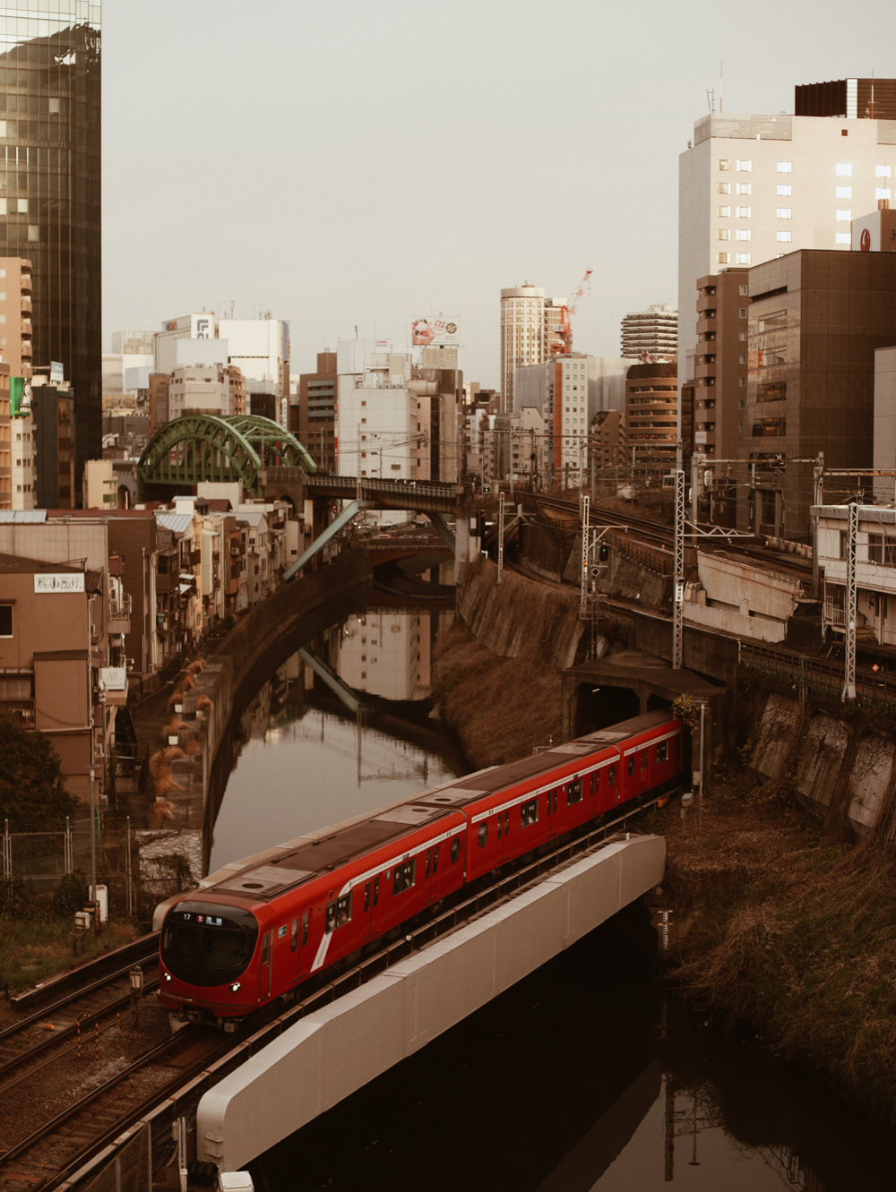 chegando no japão: livros, árvores e ochanomizu