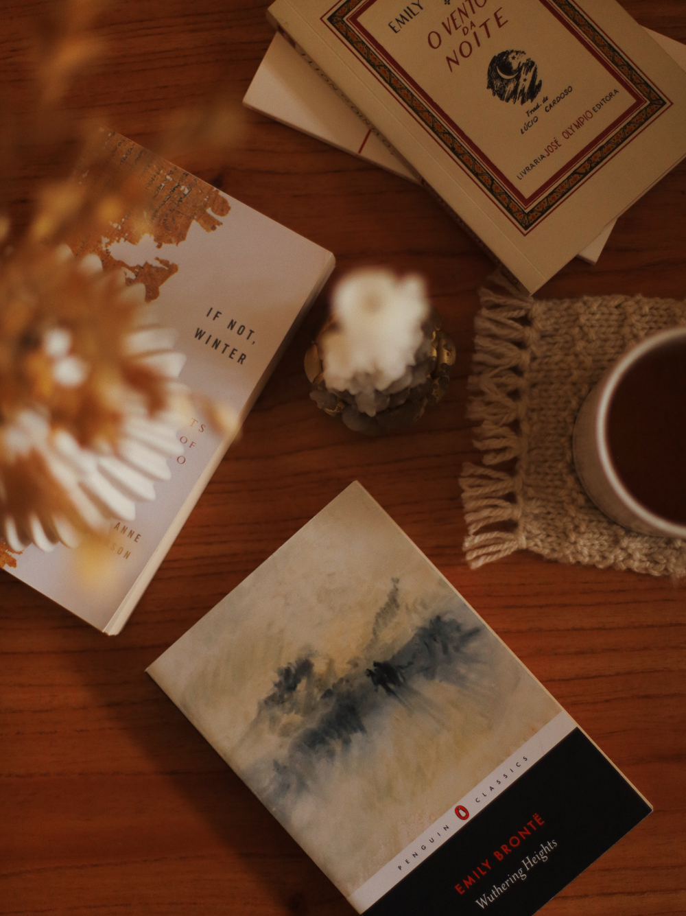 livros para ler no inverno